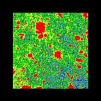 Hubble Deep Field: False-Color Image Showing Distant Galaxies and Stars in Red
