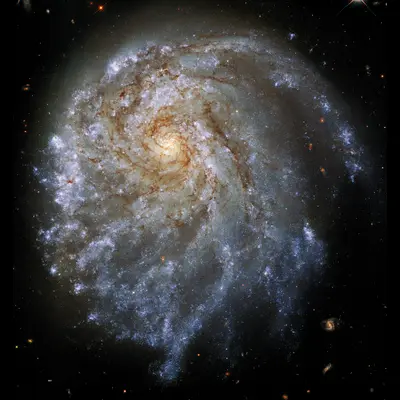 NGC 2276