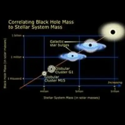 Relation of Black Hole Mass to Cluster Mass