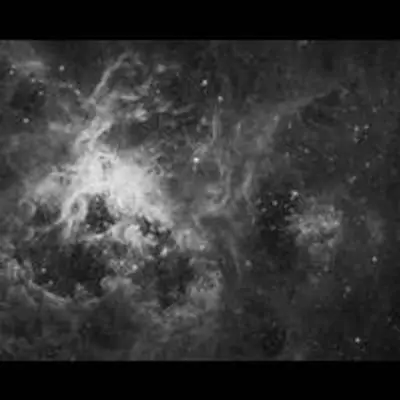 Grayscale Image of the Tarantula Nebula