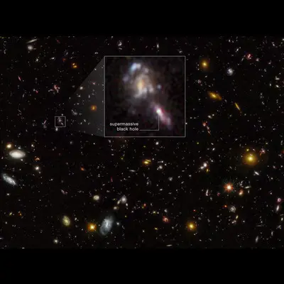 Supermassive Black Holes in Hubble Ultra Deep Field