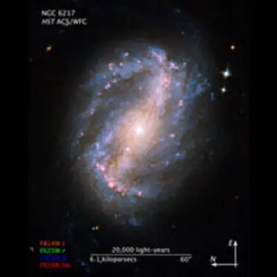 Compass and Scale Image of NGC 6217