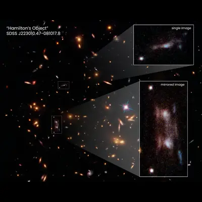 Hamilton's Object