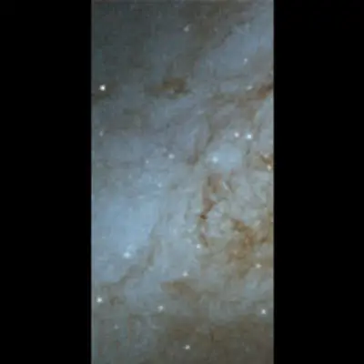 Disk of M82