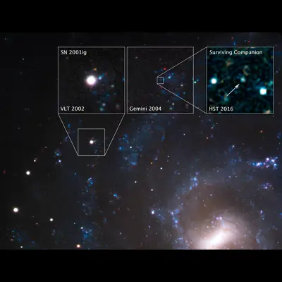 SN 2001ig in NGC 7424