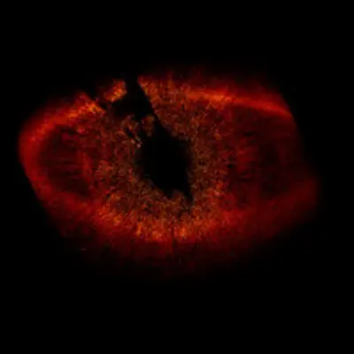 HST ACS/HRC Wide View of Fomalhaut System