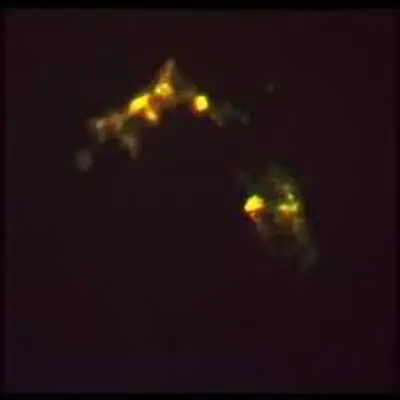 Complex Cloud of Gas Heated by Shock Waves