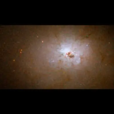ANGST Survey Galaxy - NGC 3077