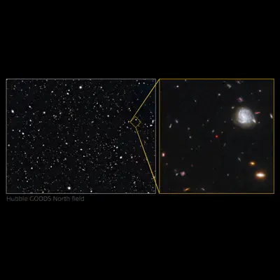 Crop of the GNz7q in the Hubble GOODS-North field
