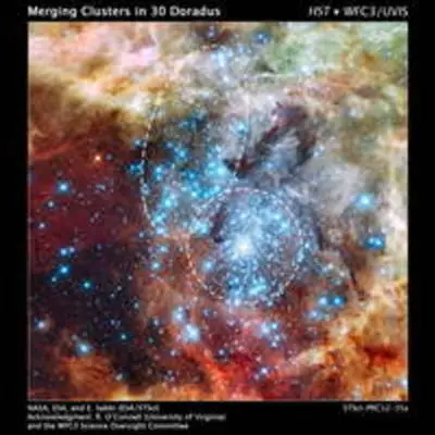 Merging Clusters in 30 Doradus