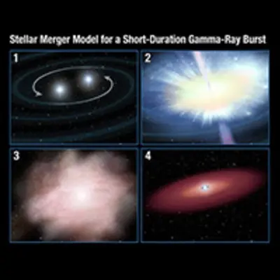 Stellar Merger Model for Gamma-ray Burst