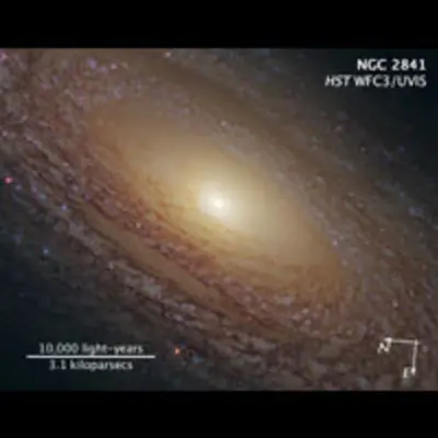 Compass and Scale Image for NGC 2841