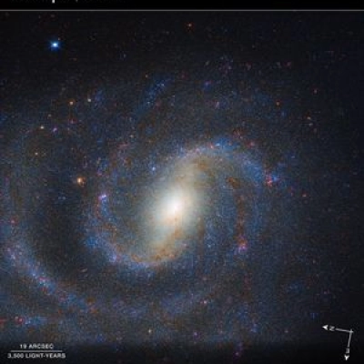 NGC 1637 Compass Image