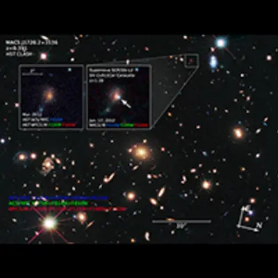 Compass and Scale Image for Supernova Caracalla