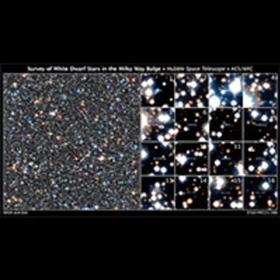 Survey of White Dwarf Stars in the Milky Way Bulge
