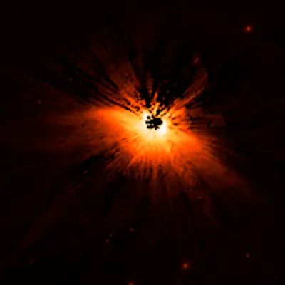 Circumstellar Disk HD 61005