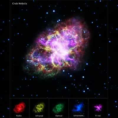 Crab Nebula in Multiple Wavelengths