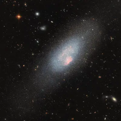Massive Stars Make Their Mark in Hubble Image
