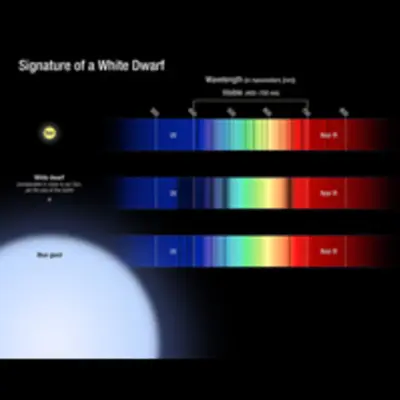 Signature of a White Dwarf