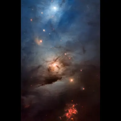 NGC 1333