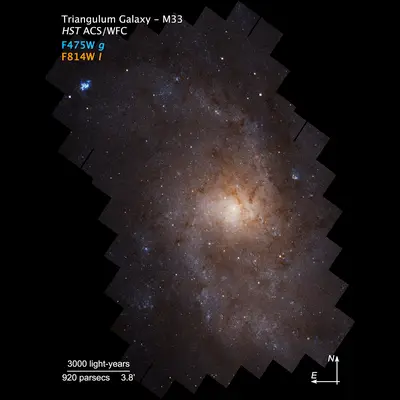 Compass Image of Triangulum Galaxy (M33)