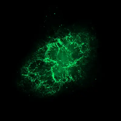 Hubble Space Telescope (visible) Image of the Crab Nebula
