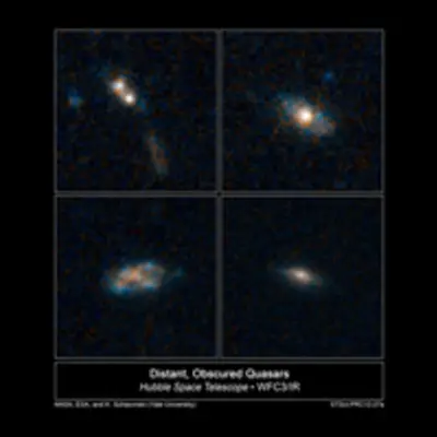 The Homes of Quasars