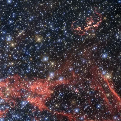 Wispy Remains of Supernova Explosion Hide Possible Survivor
