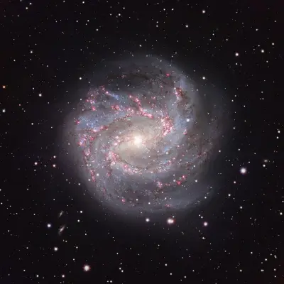 M83: The Southern Pinwheel