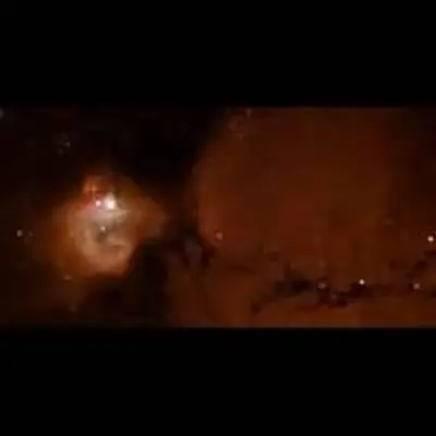 Massive Stars Sculpt Gas of Nebula N83B (NGC 1748)